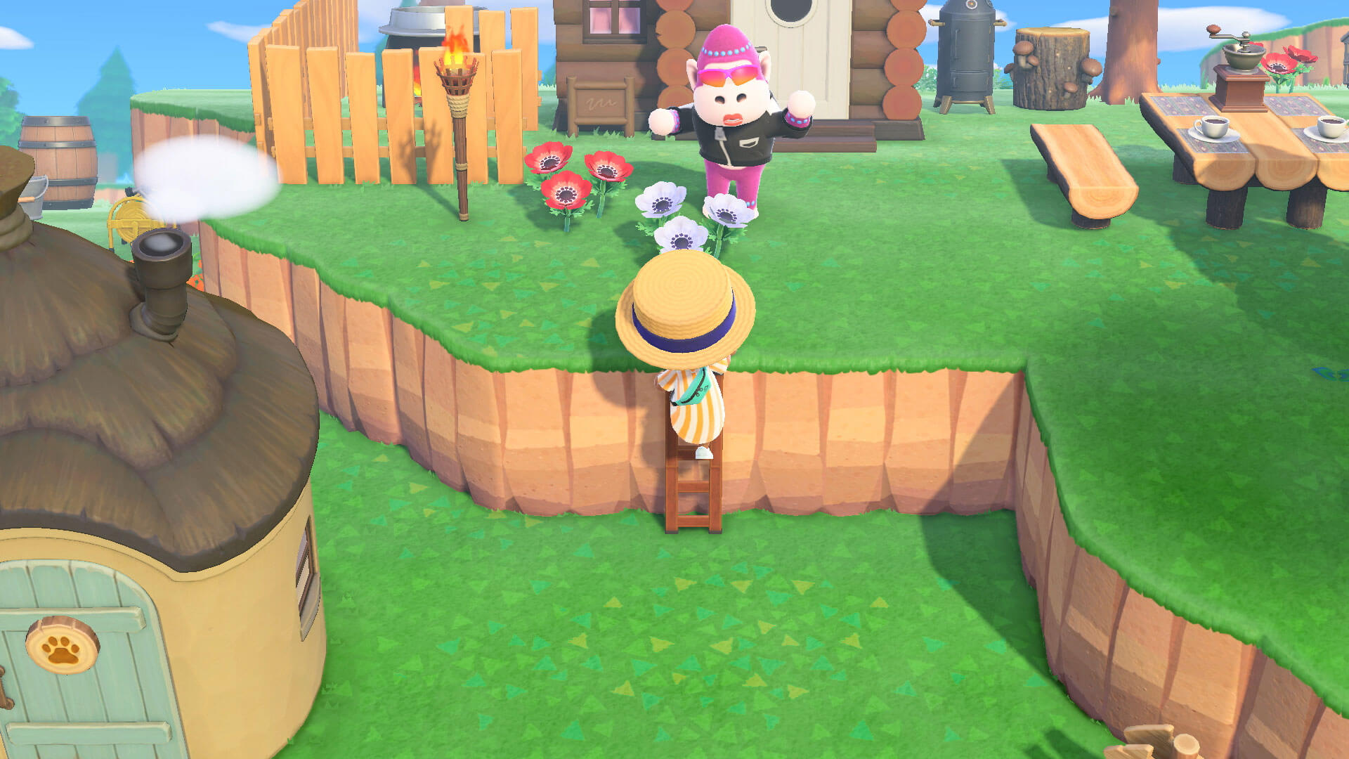 When you see a ladder, you…?